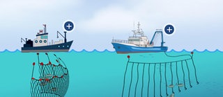 Zwei Schiffe unter denen zwei verschiedene Netze sind.