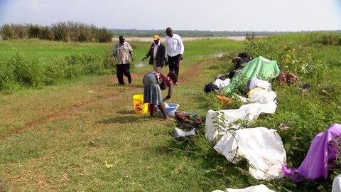 Mehrere Arbeiter auf einem Feld.