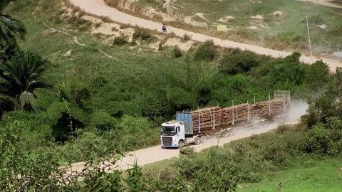 Holztransporter auf staubiger Straße.