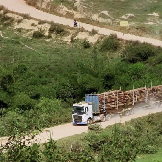 Holztransporter auf staubiger Straße.