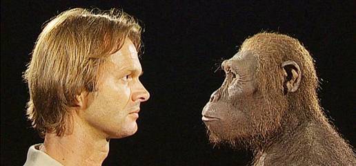 Lucy – der berühmteste Affenmensch | Hintergrund: Von Lucy bis zum Homo