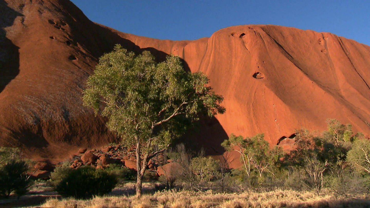 Australian Treasures - Opals, Cattle, Spectacular Nature · Australia · Opals, Cattle, Spectacular Nature (Foto: SWR)