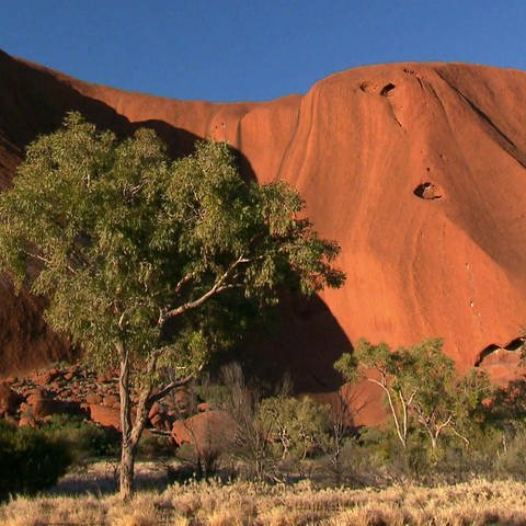 Australian Treasures - Opals, Cattle, Spectacular Nature · Australia · Opals, Cattle, Spectacular Nature (Foto: SWR)