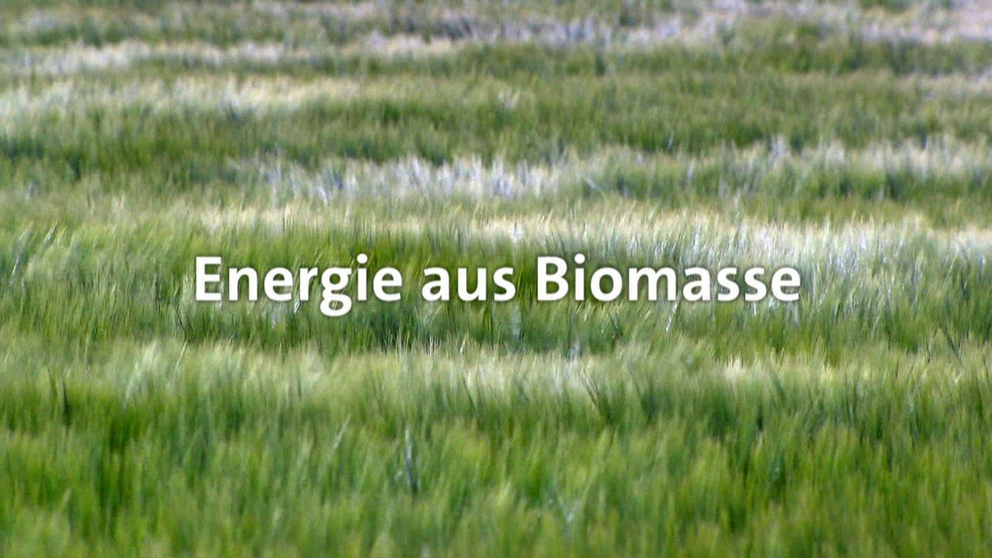 Energie aus Biomasse · total phänomenal (Foto: SWR)