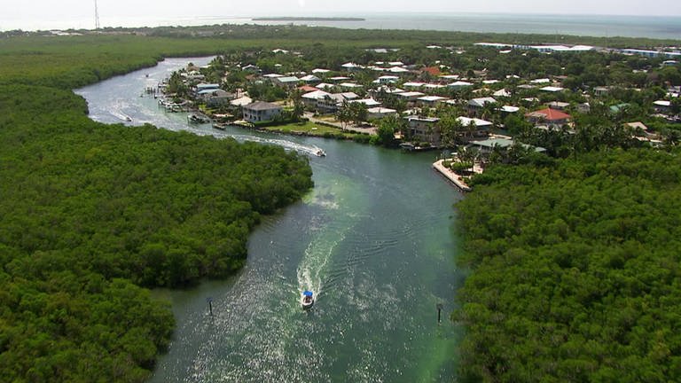 Florida · Die Ostküste der USA (Foto: SWR / WDR)