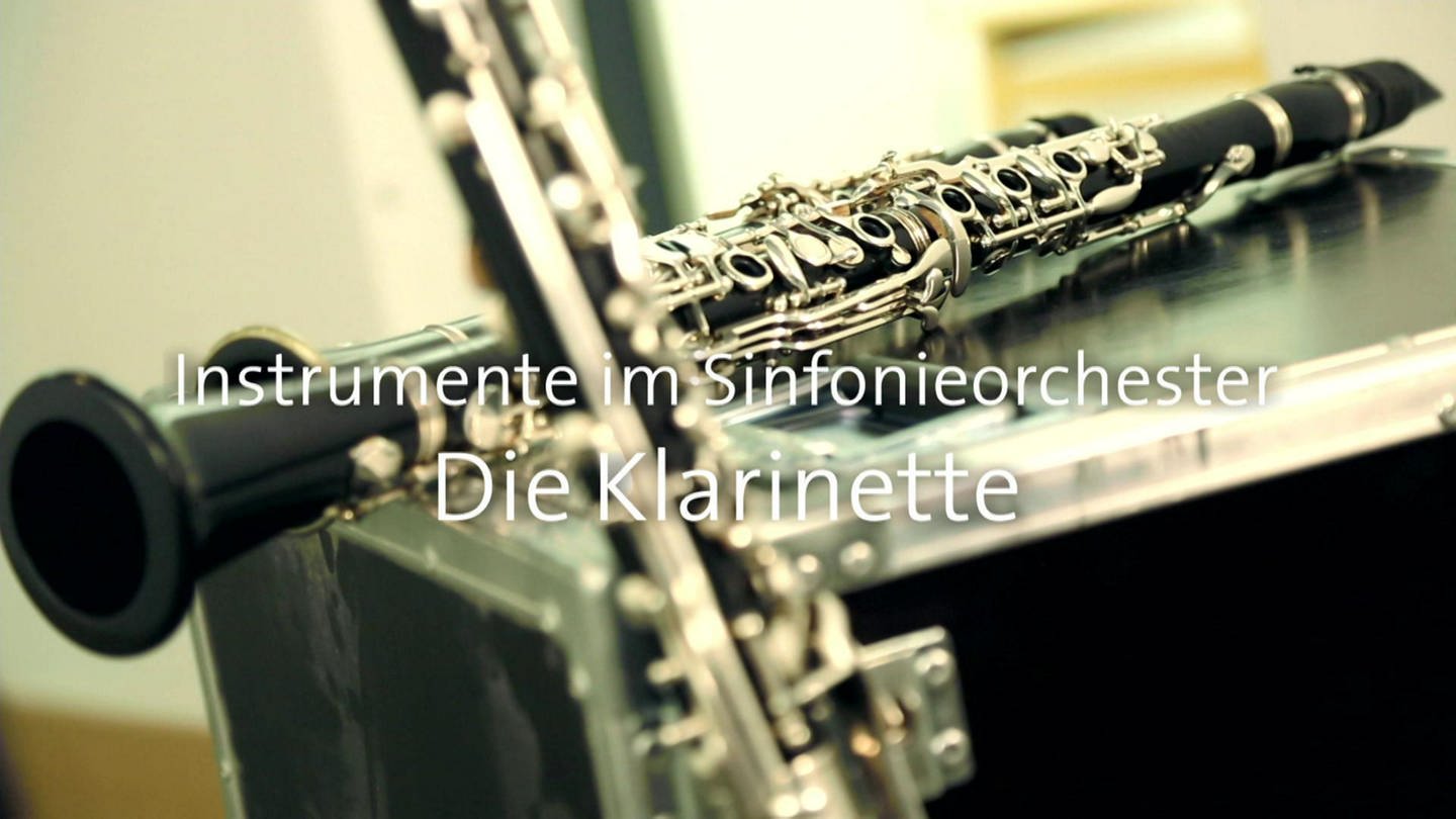 Die Klarinette · Instrumente im Sinfonieorchester (Foto: SWR)