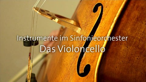 Das Violoncello · Instrumente im Sinfonieorchester (Foto: SWR)