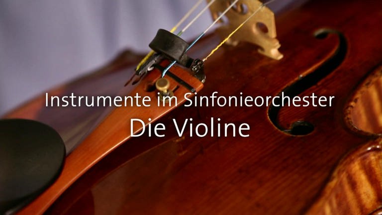 Die Violine · Instrumente im Sinfonieorchester (Foto: SWR)