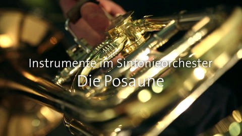 Die Posaune · Instrumente im Sinfonieorchester (Foto: SWR)
