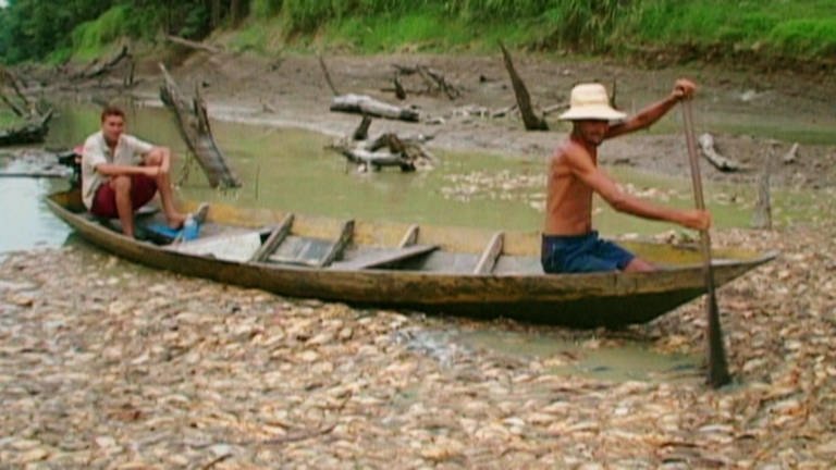 Amazonien · Wo das Klima auf der Kippe steht (Foto: WDR)