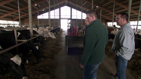 Vier Landwirte, eine Vision: Der 1000-Kühe-Stall (Foto: SWR)