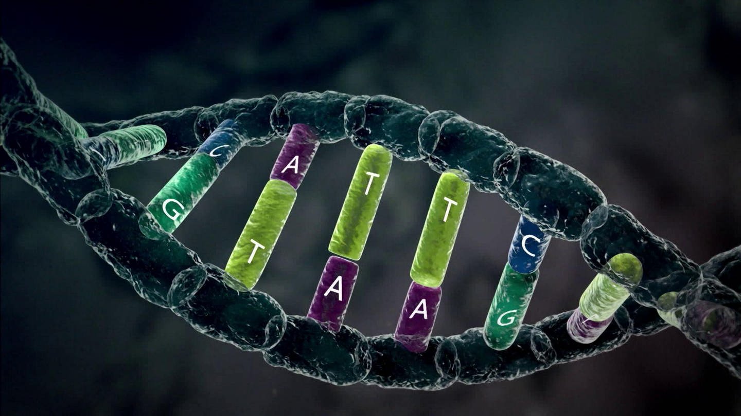 Was ist der genetische Code? · Frage trifft Antwort (Foto: SWR)