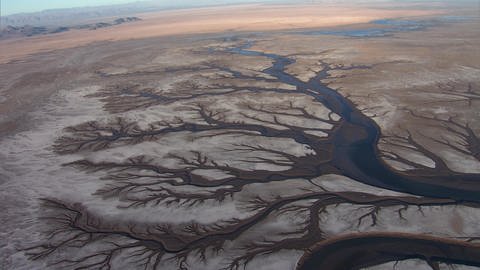 Das Flussdelta am Golf von Mexiko versalzt (Foto: WDR)