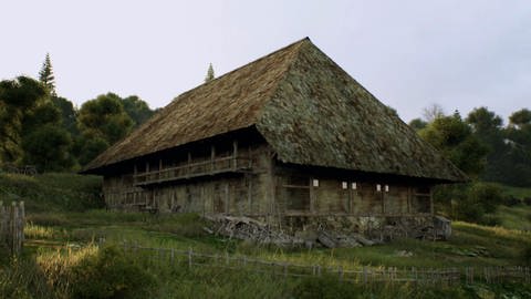 Das typische Schwarzwaldhaus (Foto: SWR)