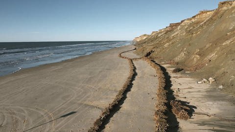 Sandfang mit Weidenruten (Foto: SWR)