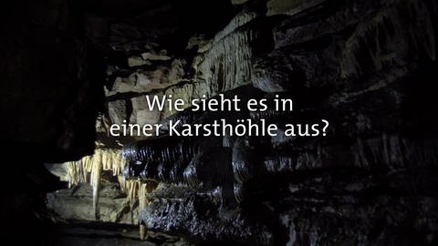 Wie sieht es in einer Karsthöhle aus? · Frage trifft Antwort (Foto: SWR)