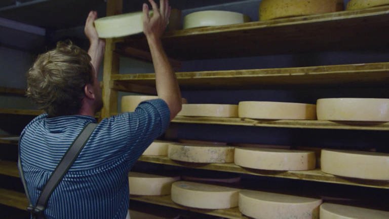 Wie wird Allgäuer Käse gemacht? · Frage trifft Antwort (Foto: SWR)