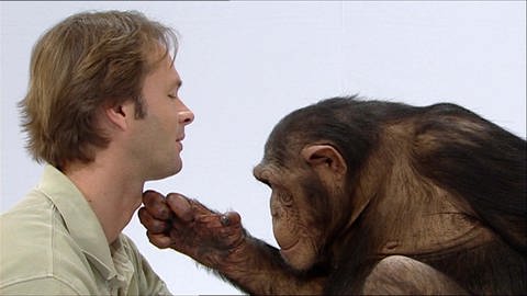 Sind Affen zu dumm zum Sprechen? · Frage trifft Antwort (Foto: SWR)