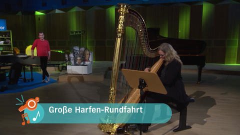 Die Harfe, die Saiten und die Bauweise (Foto: NDR)