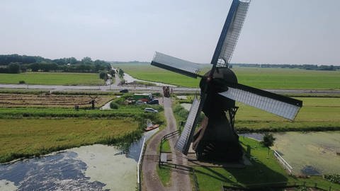 Uralte Windmühlen entwässern die Landschaft (Foto: WDR)