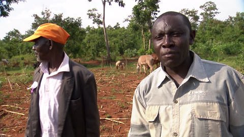 Kenia: Die Jagd nach Ackerland (Foto: SWR)