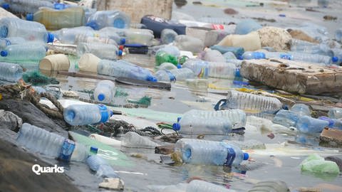 Wieviel Plastikmüll treibt im Meer? (Foto: WDR)
