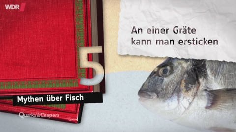 Fünf Mythen über Fisch (Foto: WDR)