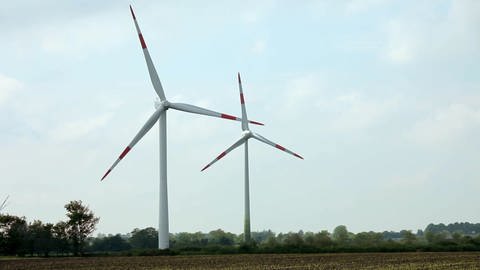 Erneuerbare Energien (Foto: SWR)