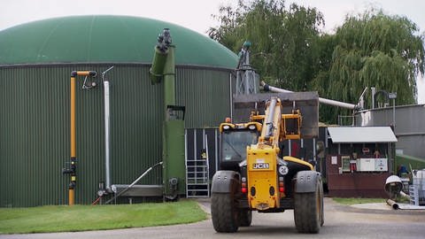 Deutschland: Biogas-Produktion (Foto: SWR)