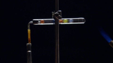 Murmeln im Reagenzglas (Foto: SWR / WDR)