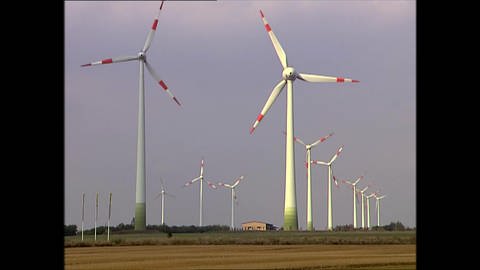 Windkraftanlagen (Foto: SWR)