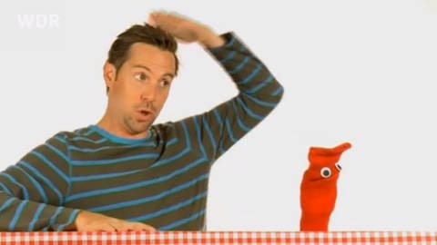 Ein Mann hebt seine Hand an den Kopf und misst seine Größe, neben ihm eine rote Strumpfhandpuppe. (Foto: WDR - Screenshot aus der Sendung)