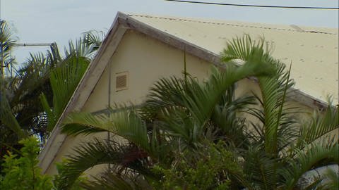 Ein helles Haus mit Palmen. (Foto: WDR - Screenshot aus der Sendung)