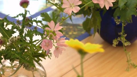Verschiedene Blumen: Löwenzahn, Distel und Storchschnabel. (Foto: WDR - Screenshot aus der Sendung)