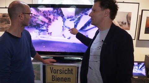Zwei Männer stehen vor einem Fernseher. Darauf läuft eine Live-Aufnahme aus einem Bienenstock.  (Foto: WDR - Screenshot aus der Sendung)