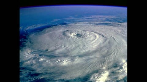 Hurricanes (Foto: SWR / DW)