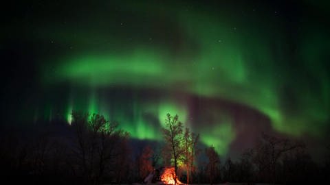 Die Magie des Polarlichts (Foto: SWR)