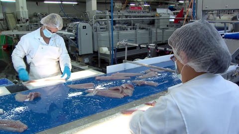 Von der Fischfabrik zum Verbraucher (Foto: SWR)