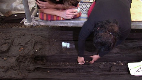 Handelsplatz Heuneburg (Foto: SWR / WDR)