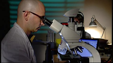 Besser als Lupen: Das Mikroskop (Foto: SWR / WDR)