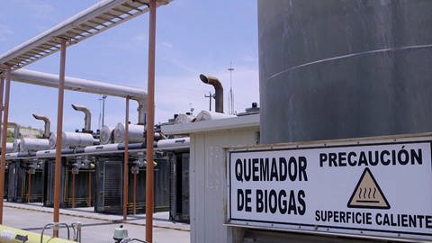 Monterrey setzt auf Bio-Gas (Foto: SWR)