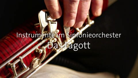 Das Fagott · Instrumente im Sinfonieorchester (Foto: SWR)