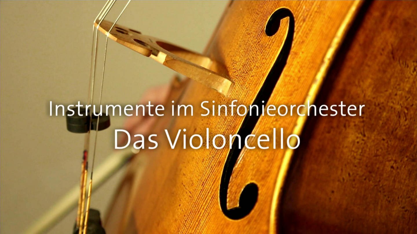 Das Violoncello · Instrumente im Sinfonieorchester (Foto: SWR)
