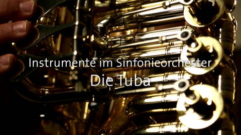 Die Tuba · Instrumente im Sinfonieorchester (Foto: SWR)