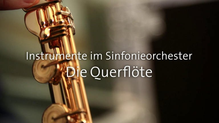 Die Querflöte · Instrumente im Sinfonieorchester (Foto: SWR)