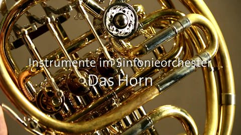 Das Horn · Instrumente im Sinfonieorchester (Foto: SWR)