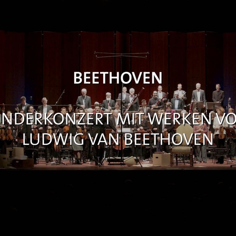 Beethoven · ein Konzert für Kinder (Foto: SWR)