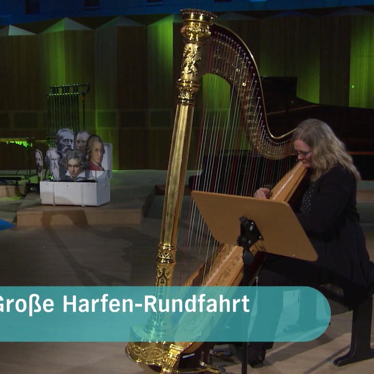 Große Harfen-Rundfahrt · Alle mal herhören! (Foto: NDR)