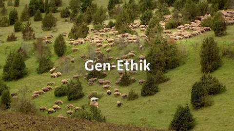 Gen-Ethik · total phänomenal (Foto: SWR)