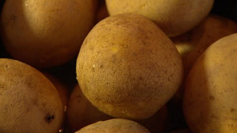 Was wird aus Kartoffeln? · Was wo wie wächst (Foto: SWR)